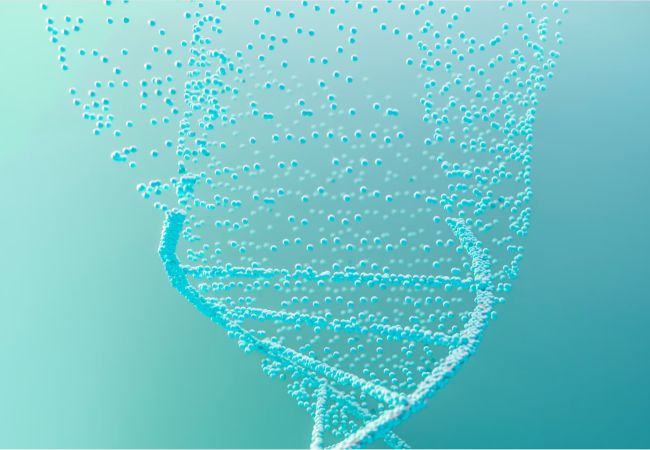 Virtuelle 3d Darstellung einer Doppelhelix DNA DNS